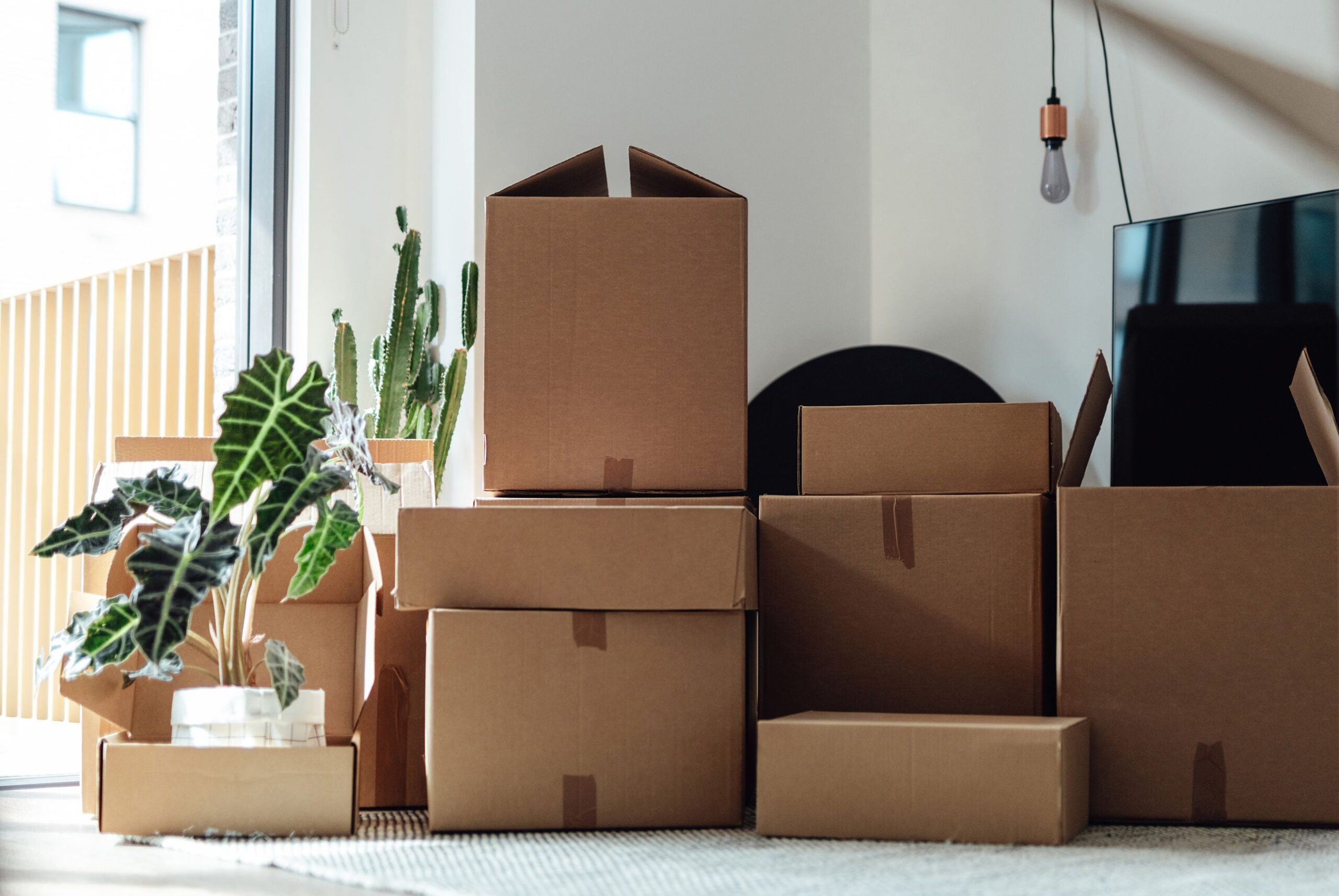 London Removalists